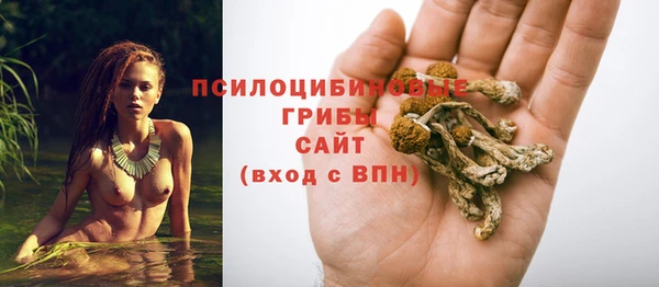 ALPHA-PVP Осинники
